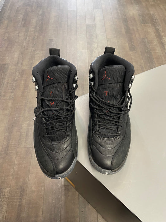 Air Jordan 12 Utility